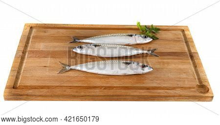 Mackerel Fish In Front Of White Background