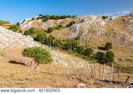 View Of Rocca Del Crasto Near Alcara Li Fusi Town In The Nebrodi Park, Sicily