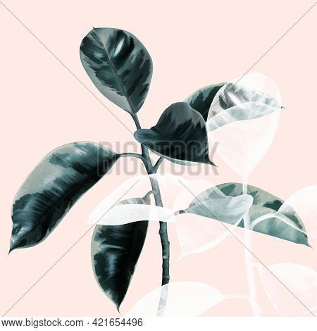 Transparent effect natural Indian rubber plant mockup