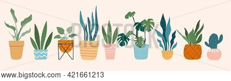 Urban Jungle, Trendy Home Decor With Plants, Cacti, Tropical Leaves In Stylish Planters And Pots. Fl