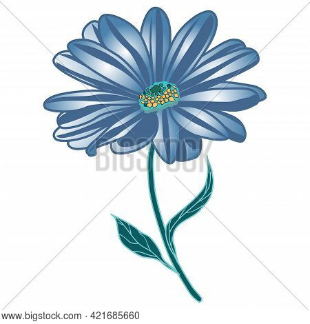 Vector Image Of A Stylized Osteospermum Flower In Blue Tones On A White Background