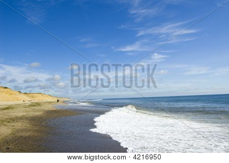 Cape Cod