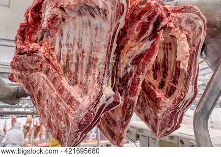 Chopped Beef Carcasses. Large Chunks Of Cow Carcasses Hang From An Overhead Conveyor.