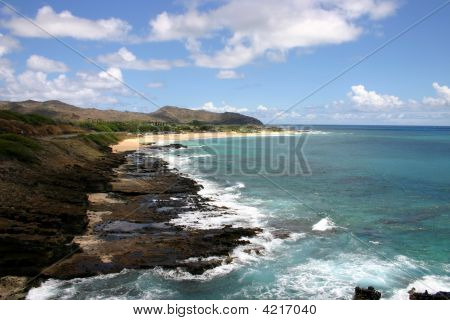 Tropical Oceano Shore