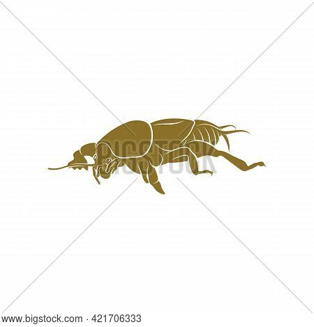 Mole Cricket Design Vector Illustration, Creative Mole Cricket Logo Design Concept Template, Symbols