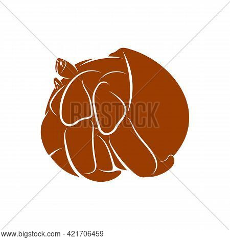 Hermit Crab Design Vector Illustration, Creative Hermit Crab Logo Design Concept Template, Symbols I