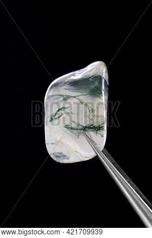 Moss Agate Jewel Stone Texture In Tweezers On Black Background. Macro Closeup.