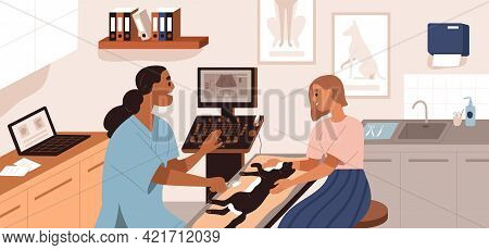 Ultrasound Diagnostics In Vet Clinic. Pet Owner Holding Cat While Veterinarian Examining Patient In 