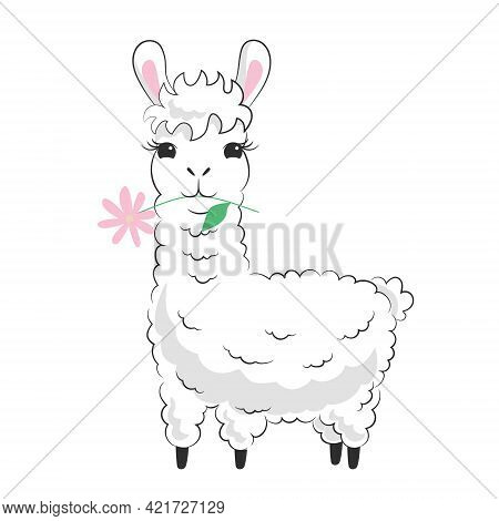 Cute Fluffy Llama With A Flower. Hand Drawn White Kawaii Alpaca. Childish Character Design. Nursery 