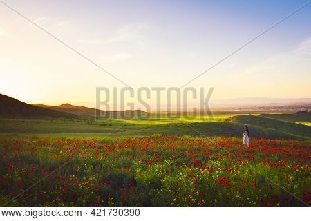Young Woman Standing In Green Valley And Poppy Field, Springtime Landscape In Georgia. Blank Space W