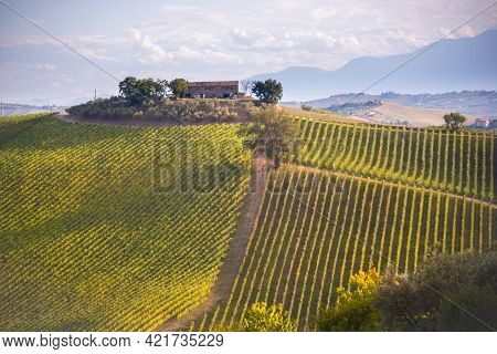 Vineyards And Winery On Hills, Farming And Wine Pruduction