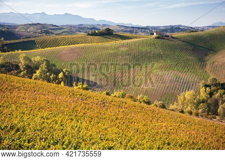 Vineyards And Winery In A Valley, Farming And Wine Pruduction