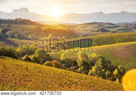 Vineyards And Winery In A Valley, Farming And Wine Pruduction