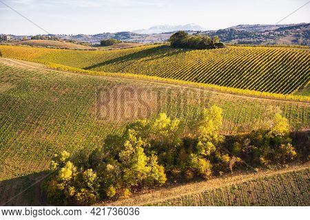 Vineyards And Winery On Hills, Farming And Wine Pruduction