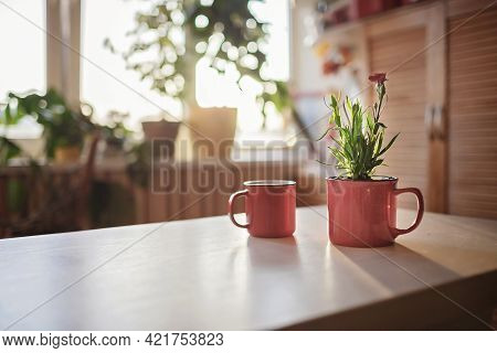A Cup With Coffee And A Mug With Green Blooming Flower On The Windowsill In The Morning, Home Floral