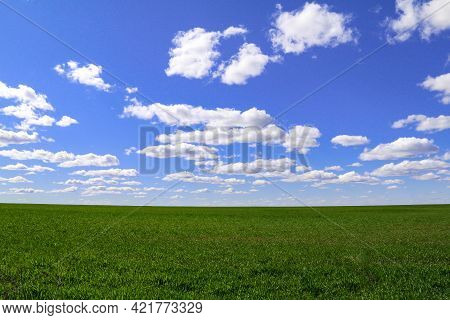 Lush Pasture Grassland Field With Horizon And Bright Blue Sky And Puffy White Clouds