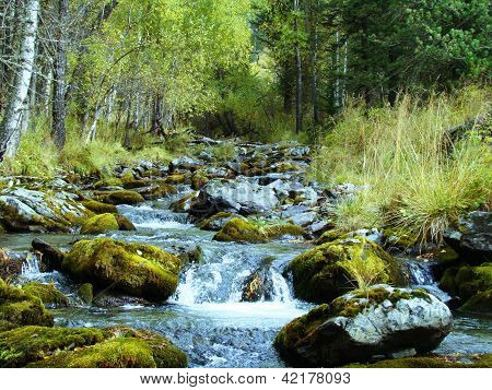 Mountain Stream