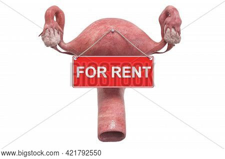 Surrogacy Concept. Female Uterus With For Rent Hanging Sign, 3d Rendering Isolated On White Backgrou