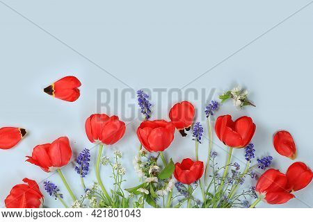 Spring Garden Flowers On Gray Background, Abstract Floral Composition Flat Lay, Background, Minimal 