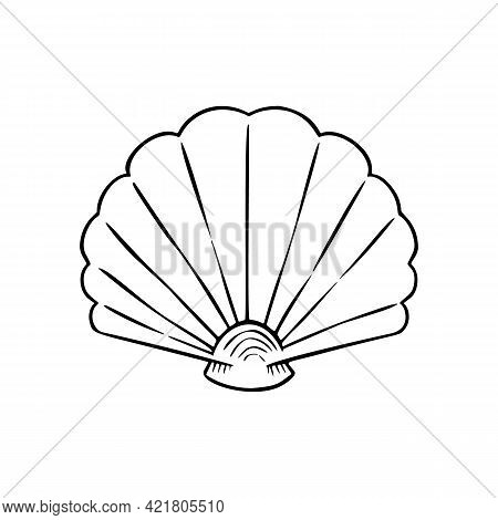 Seashell Thin Line Icon, Animal And Underwater, Shell Sign Vector Graphics, A Linear Pattern On A Wh