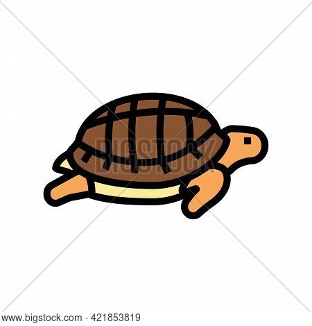 Turtle Pet Color Icon Vector. Turtle Pet Sign. Isolated Symbol Illustration