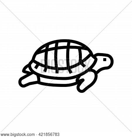 Turtle Pet Line Icon Vector. Turtle Pet Sign. Isolated Contour Symbol Black Illustration
