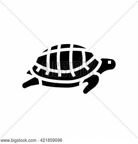 Turtle Pet Glyph Icon Vector. Turtle Pet Sign. Isolated Contour Symbol Black Illustration