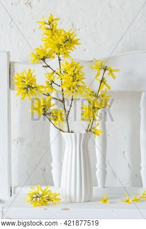 Forsythia  In Vase On Vintage White Background