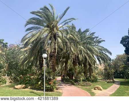 Ein Gedi, Israel - April 25, 2021: Unique Ein Gedi Botanical Garden On The Coast Of The Dead Sea