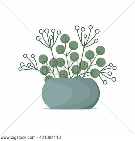 Beautiful Plant With Round Leaves And Thin Branches In Fashionable Low Round Flower Pot Of Gray Colo