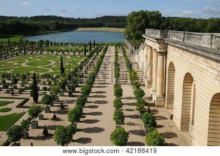 프랑스, 베 르 사 이유 궁전 Orangery의 정원