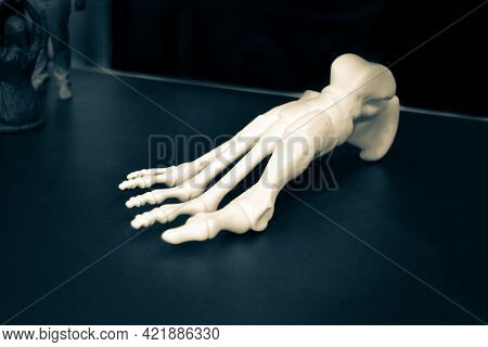 White Prototype Of The Human Foot Skeleton Printed On 3d Printer On Dark Surface