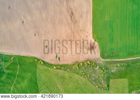 Aerial View Of Agricultural And Green Fields In Countruside. Nature Landscape In Summer Day