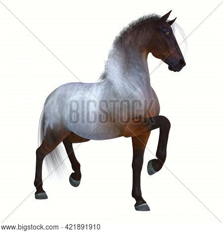 Bay Roan Horse 3d Illustration - The Bay Roan Is A Coat Color Of Many Different Breeds Of Horses And