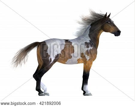 Wild Mustang Stallion 3d Illustration - The Mustang Is A Wild Free-roaming Horse Of The Western Unit