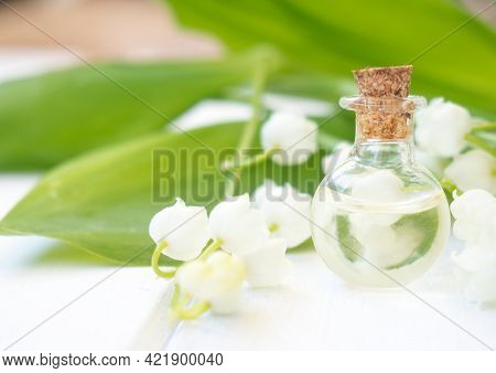 Lily Of The Valley, Convallaria Majalis Essential Oil (extract, Tincture, Infusion, Remedy) With Fre