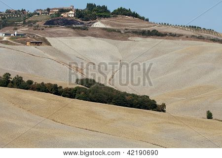 Senesi เกาะครีต
