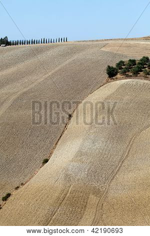 Senesi เกาะครีต