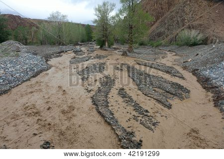 Altai Mountain Rapid Muddy River