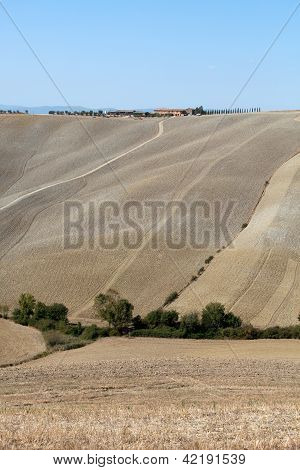 Senesi เกาะครีต