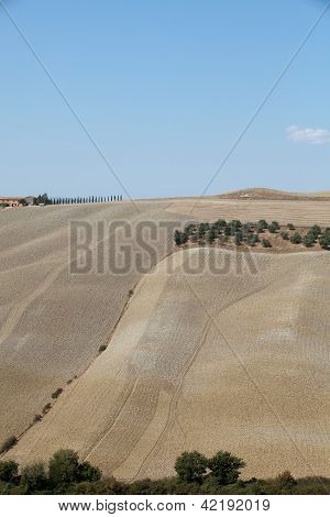 Senesi เกาะครีต