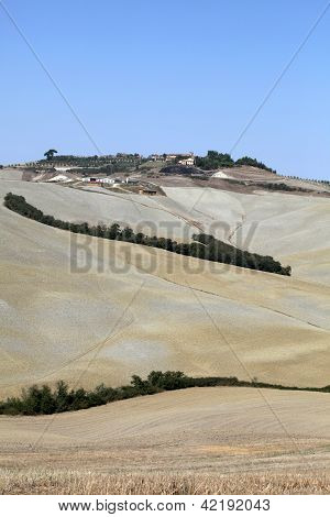 Senesi เกาะครีต