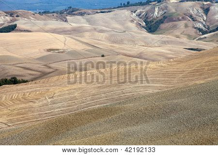Senesi เกาะครีต