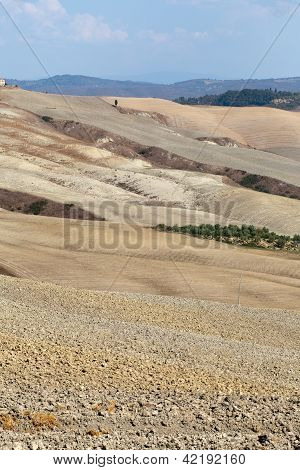 Senesi เกาะครีต