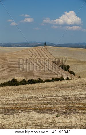 Senesi เกาะครีต