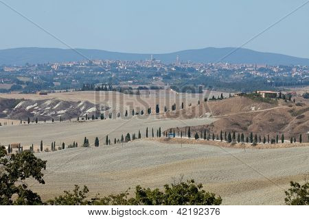 Senesi เกาะครีต