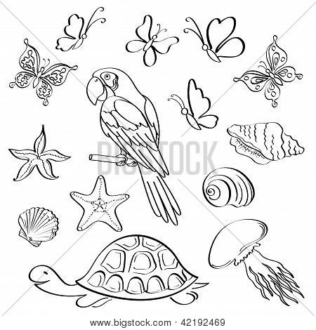 Egzotik fauna, anahat, set