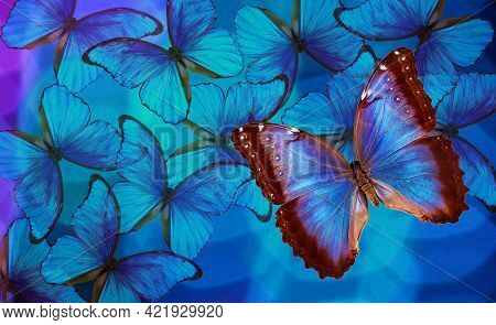 Blue Abstract Texture Background. Butterfly Morpho. Wings Of A Butterfly Morpho. Flight Of Bright Bl