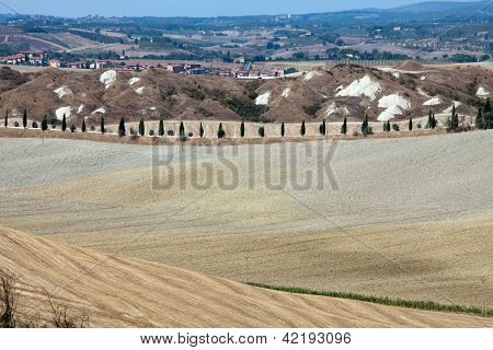 Senesi เกาะครีต