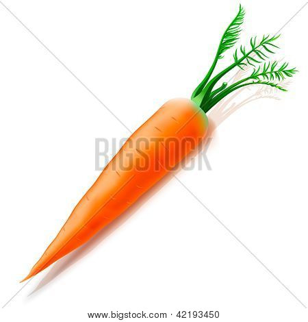 Carota isolata on white background